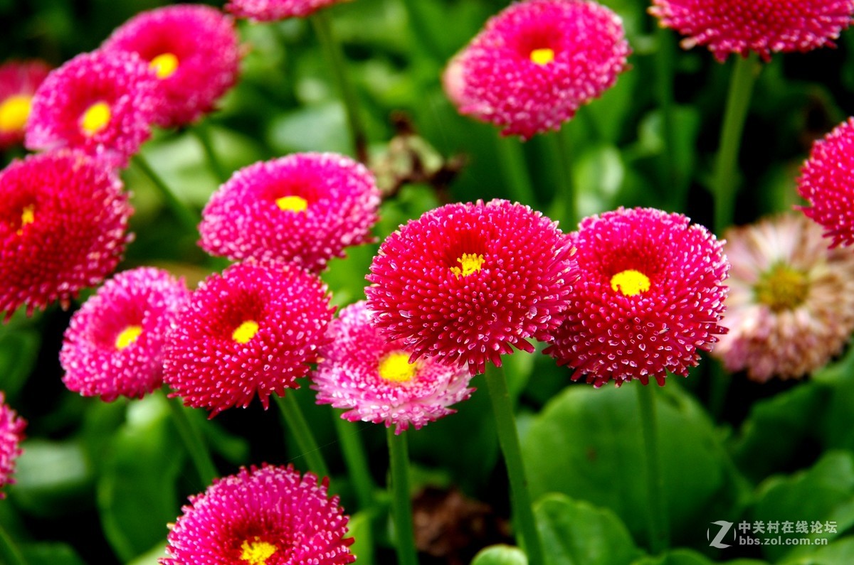 透气之旅 龙虎山大觉山