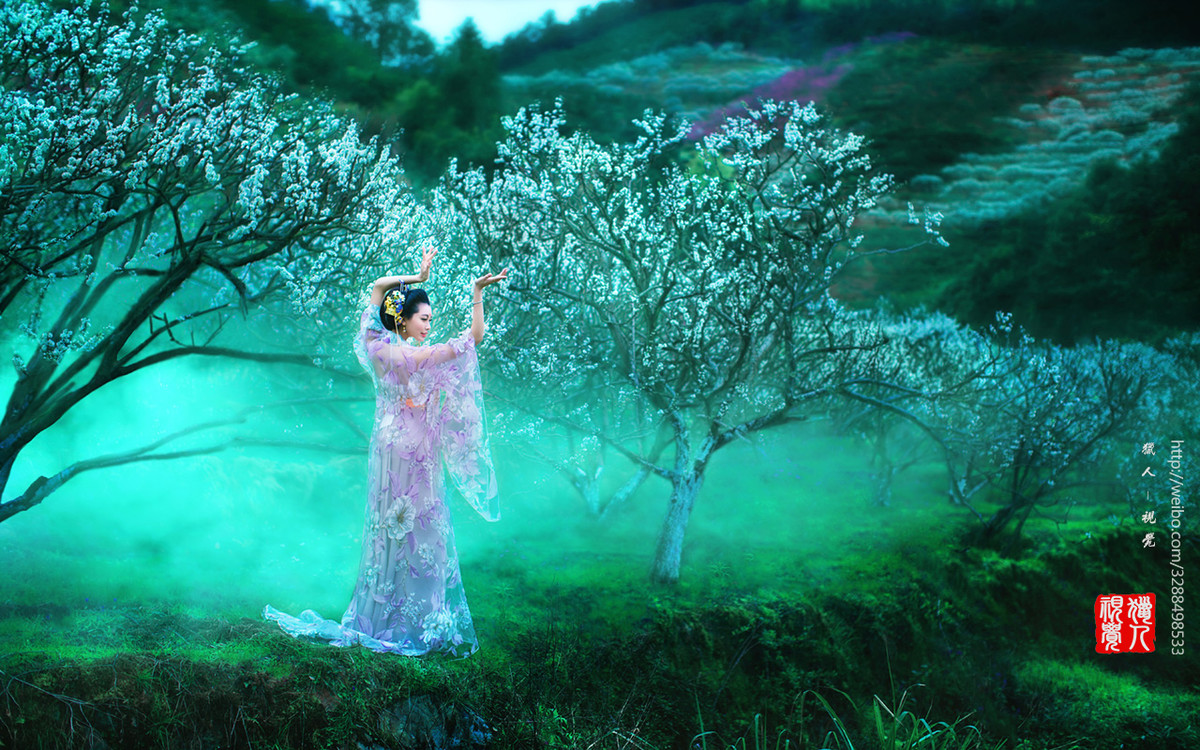 【猎人视觉】-风华无限