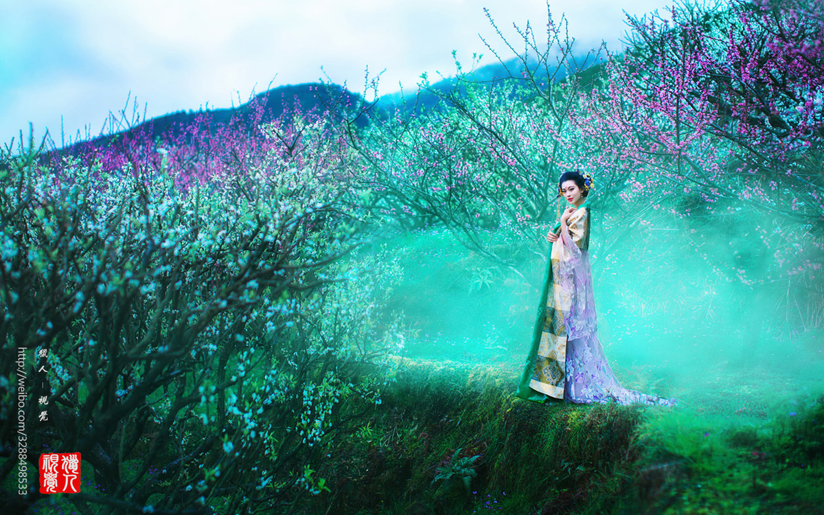 【猎人视觉】-风华无限