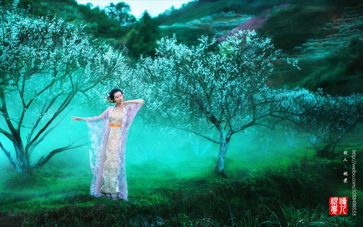 【猎人视觉】-风华无限