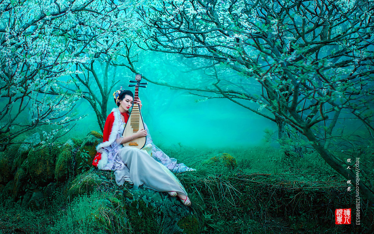 【猎人视觉】-风华无限