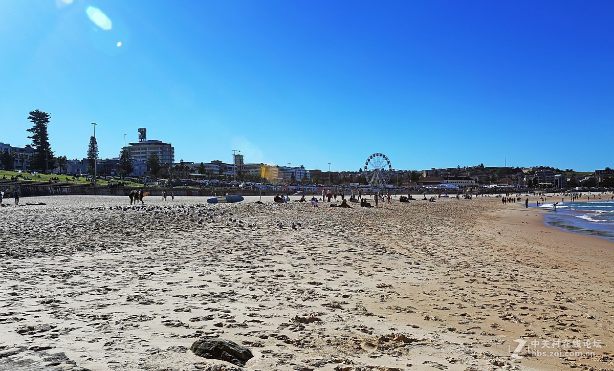 澳洲邦迪海滩