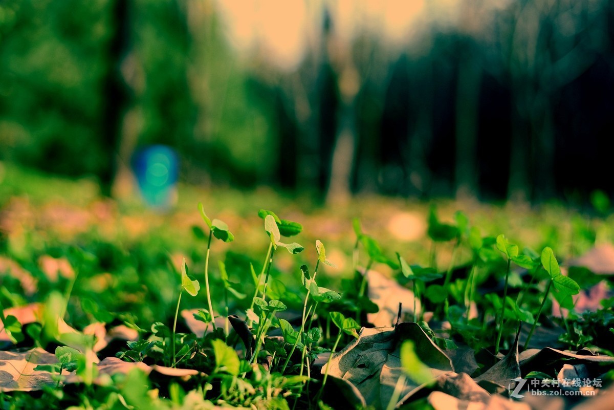 菜鸟入抗750，杂拍一组，求砖。