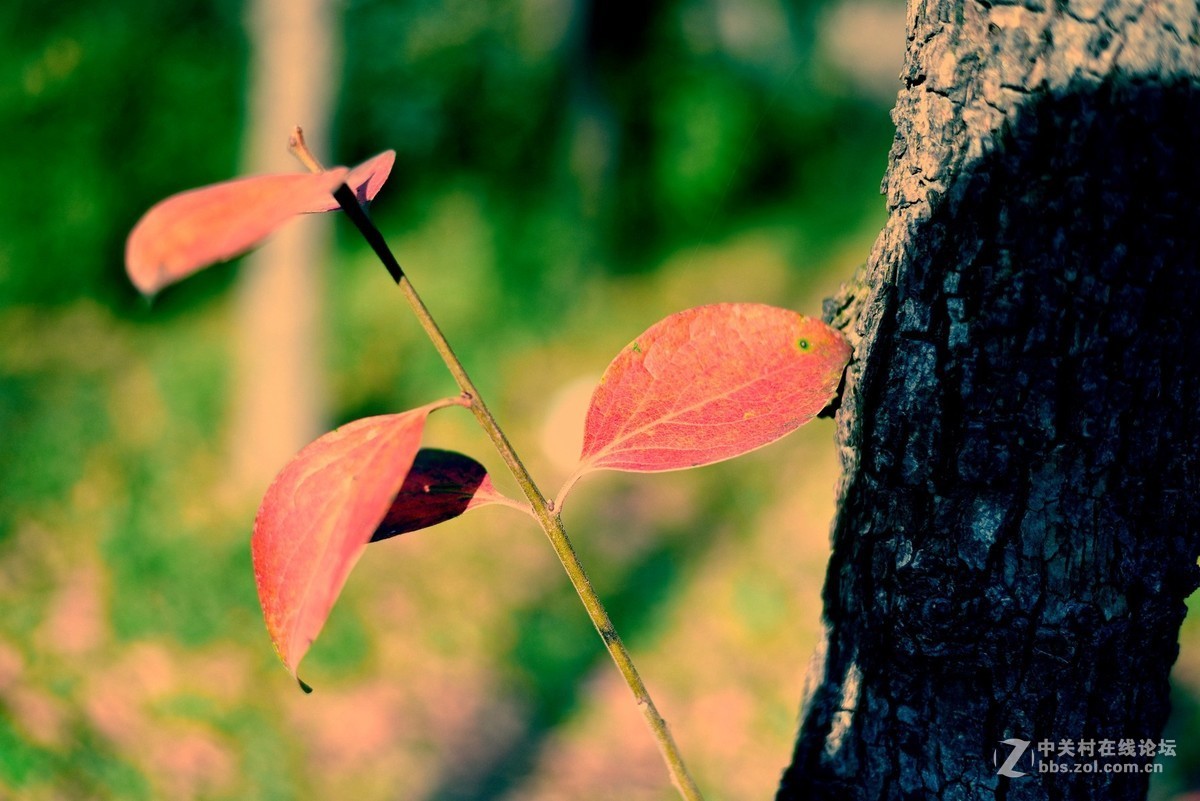 菜鸟入抗750，杂拍一组，求砖。