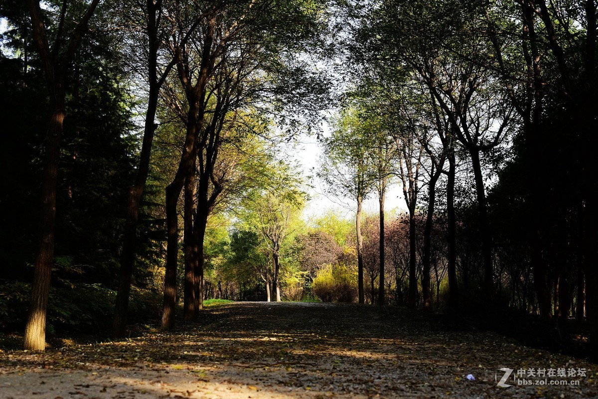 菜鸟入抗750，杂拍一组，求砖。