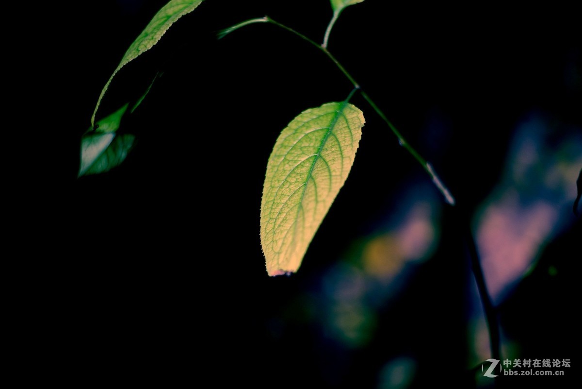 菜鸟入抗750，杂拍一组，求砖。