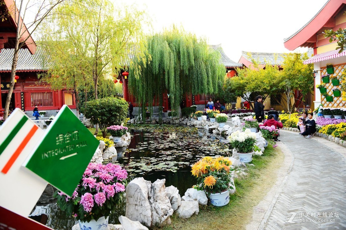 开封市重阳节清明上河园国际菊花展剪影