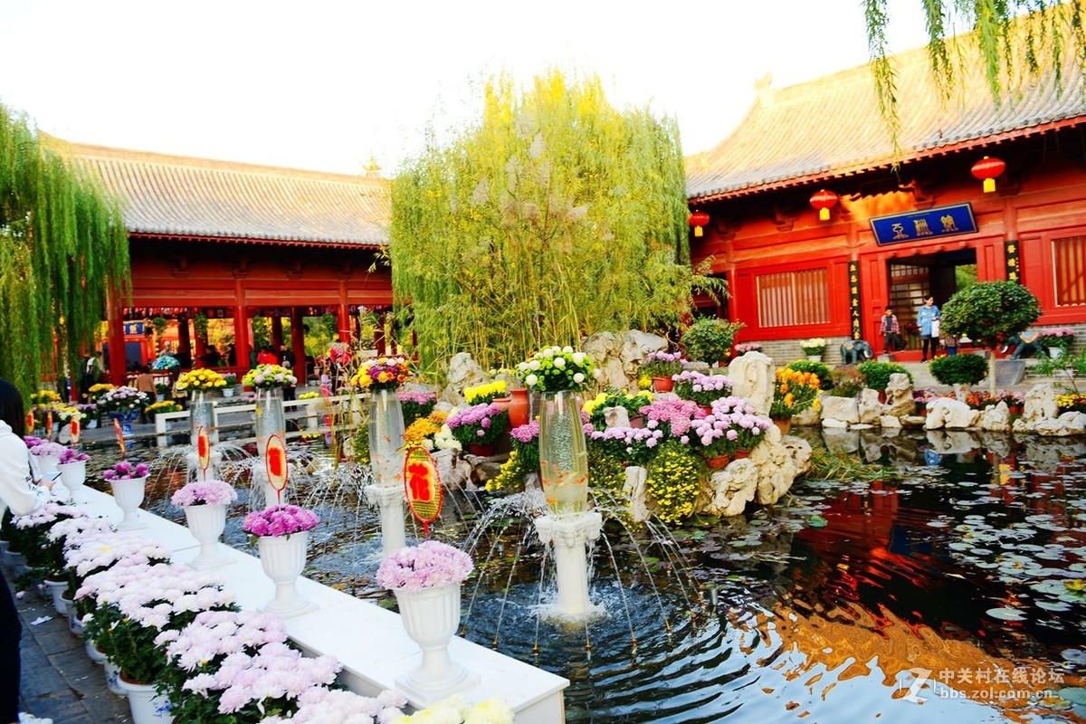 开封市重阳节清明上河园国际菊花展剪影