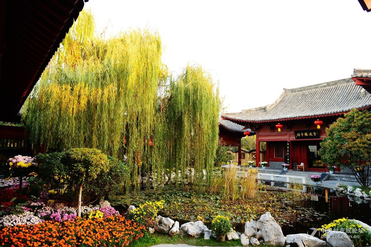 开封市重阳节清明上河园国际菊花展剪影