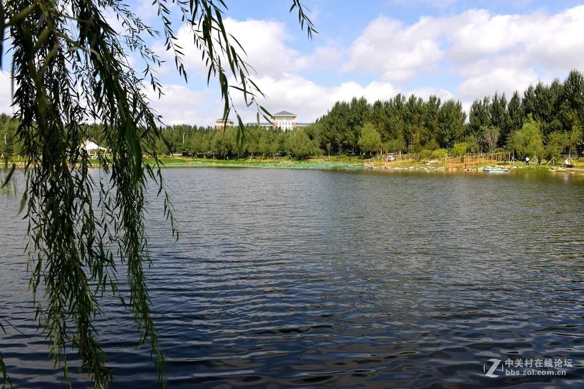 携一组吉林大学建校70周年纪念片拜访长春板块诸位版主和影友（吉大毕业喜欢长春城市）
