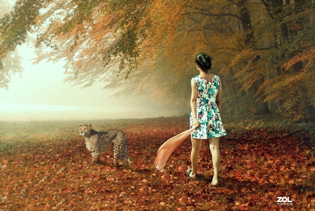 普通人_微若如尘的平凡世界