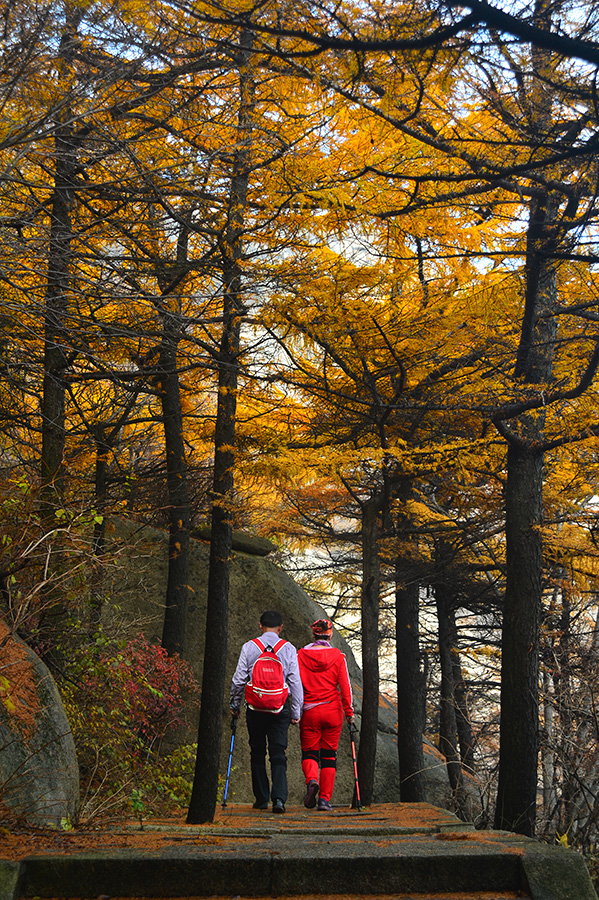 【 · 巨峰云海 · 】