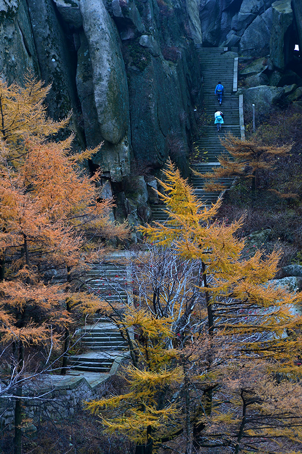 【 · 巨峰云海 · 】