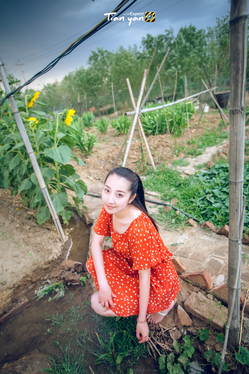 【碧水天颜2015作品】往事只能回味