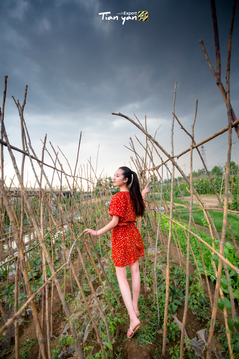 【碧水天颜2015作品】往事只能回味