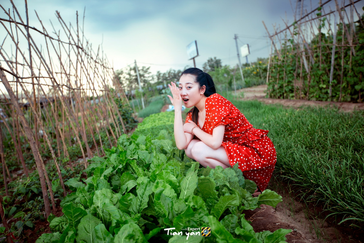 【碧水天颜2015作品】往事只能回味