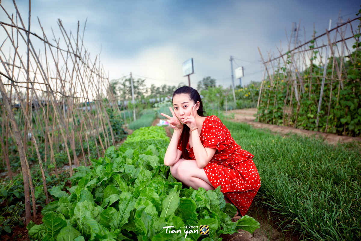 【碧水天颜2015作品】往事只能回味