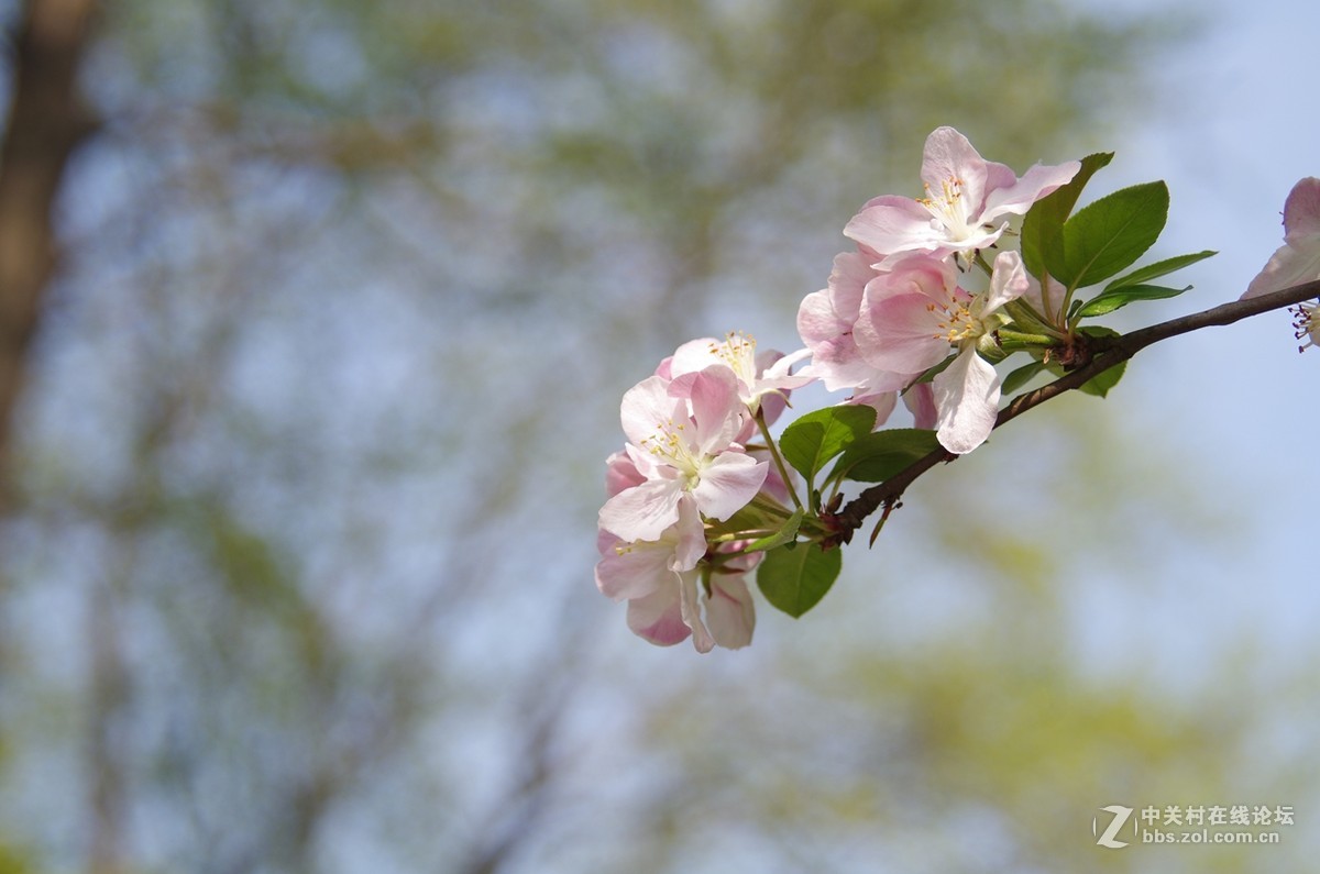 带着FA35-80逛公园随拍