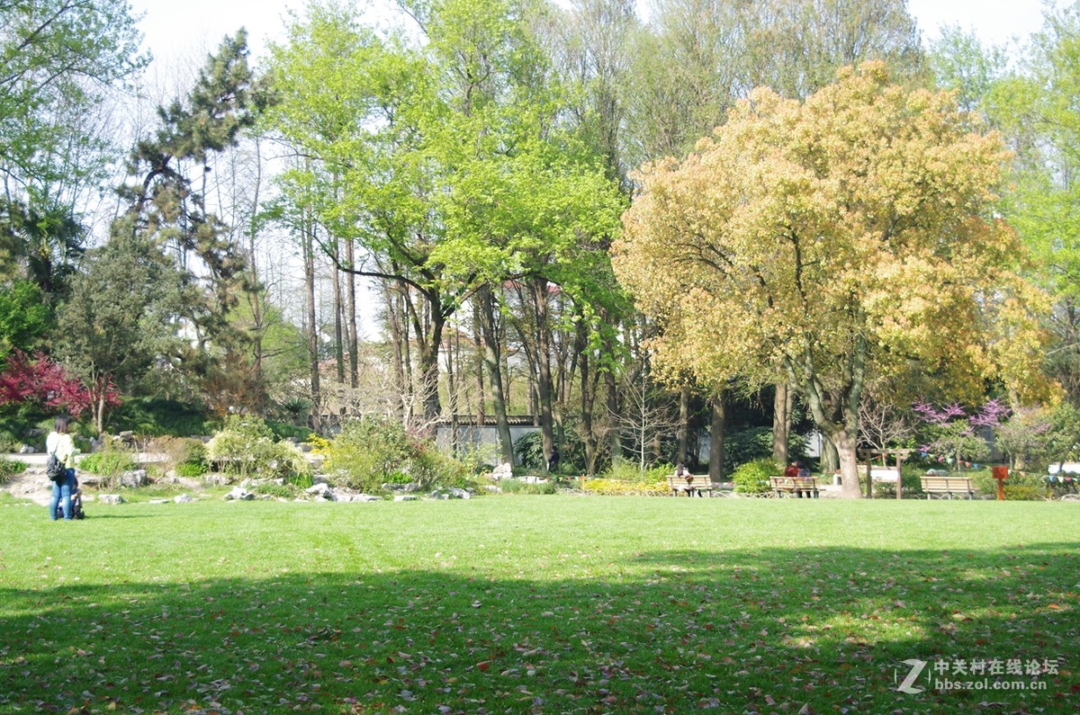 带着FA35-80逛公园随拍