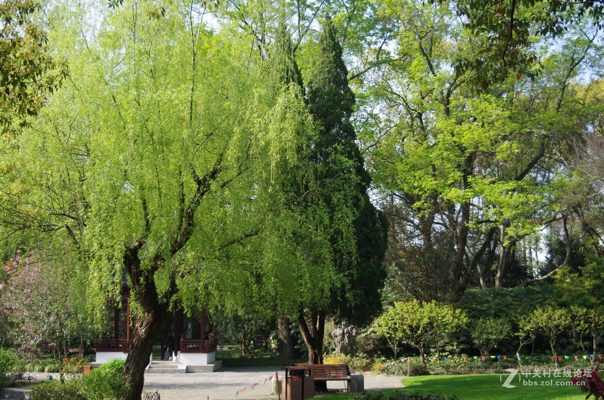 带着FA35-80逛公园随拍