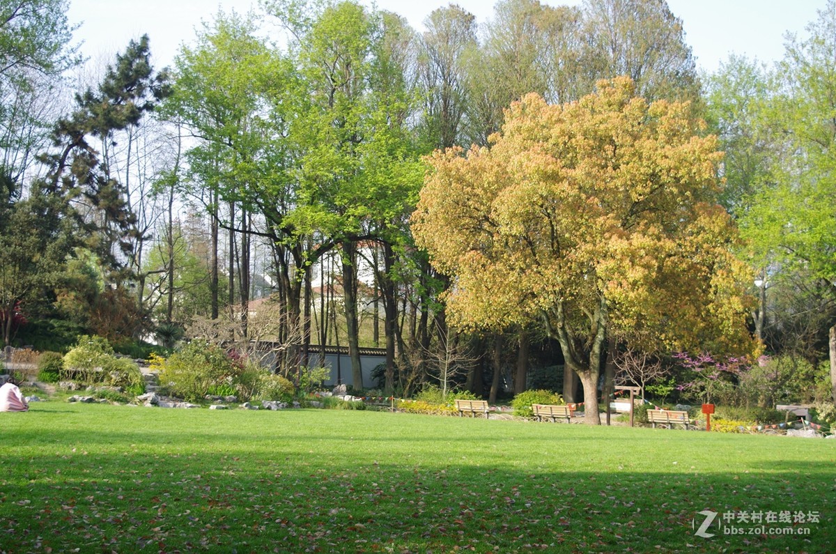 带着FA35-80逛公园随拍