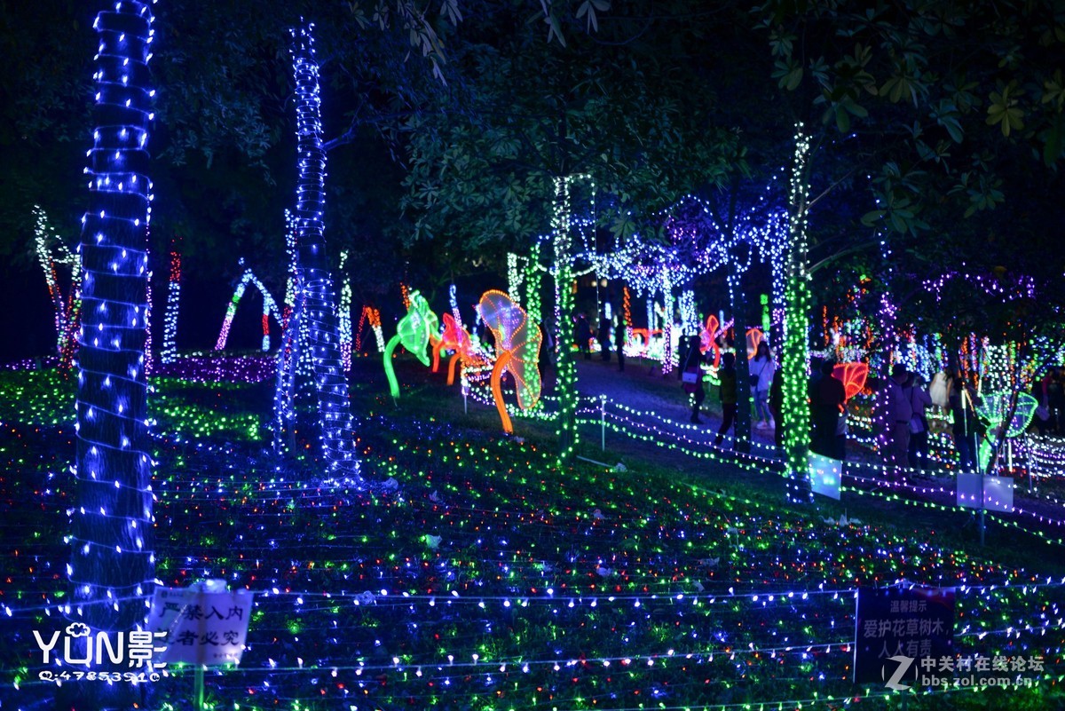 嘉和城花灯展          【YUN影作品】