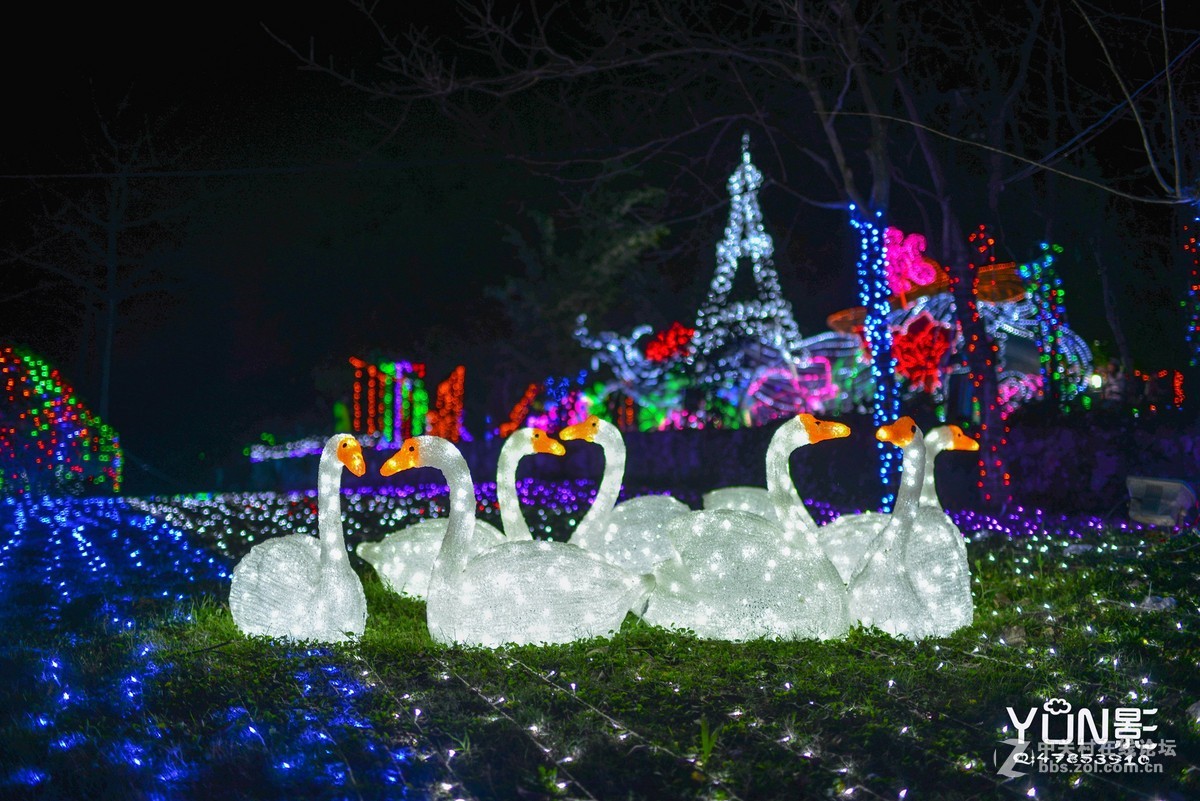 嘉和城花灯展          【YUN影作品】