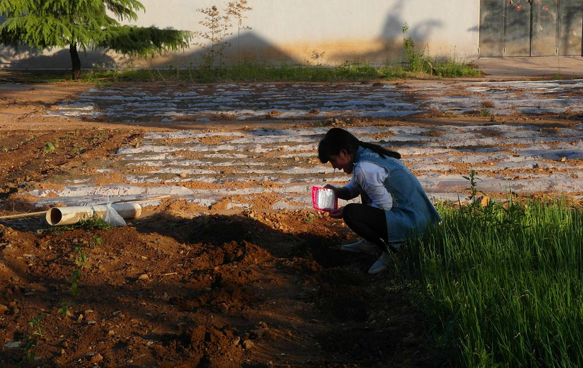 EX1-『种菜』123...11P