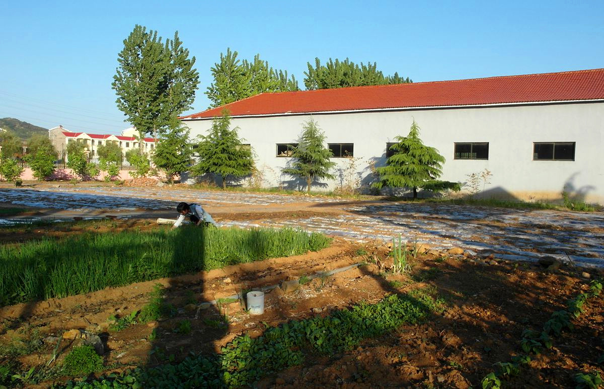 EX1-『种菜』123...11P