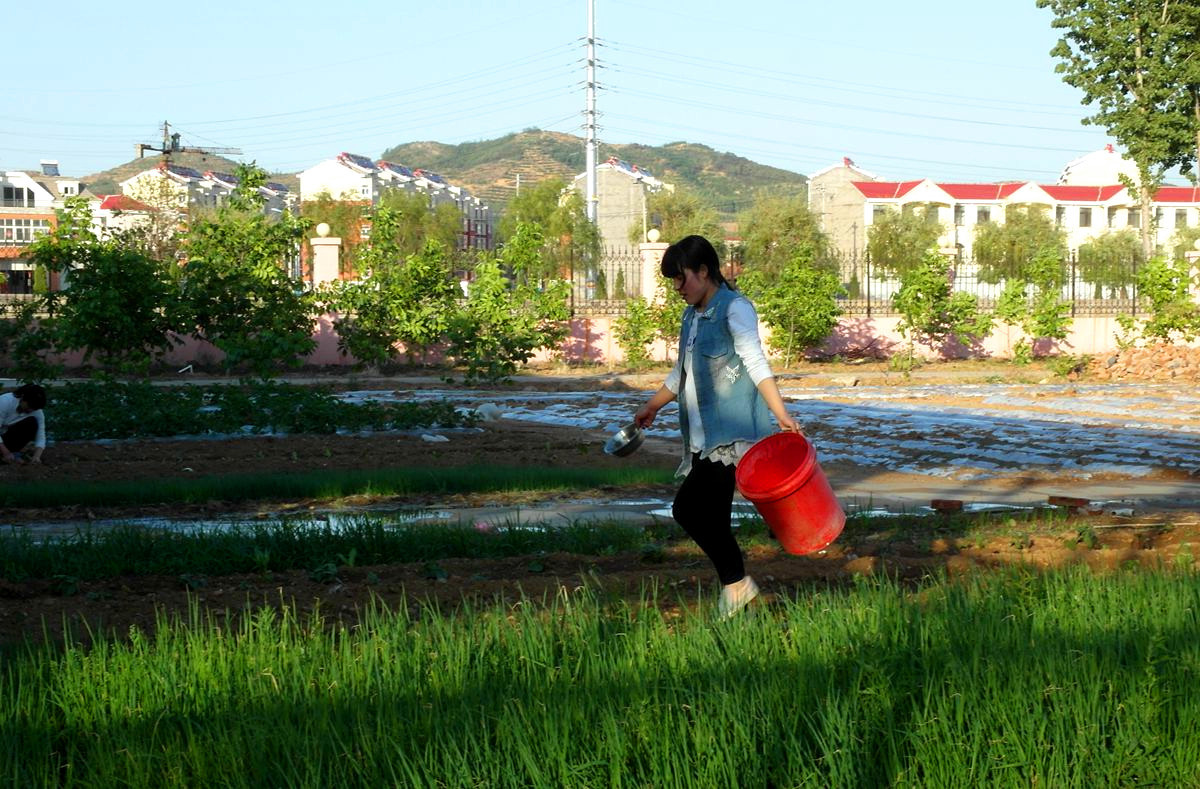 EX1-『种菜』123...11P