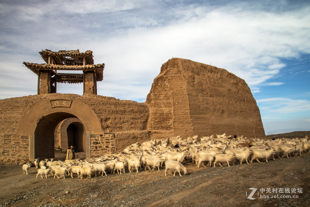 永泰古龟城(甘肃景泰)拍羊