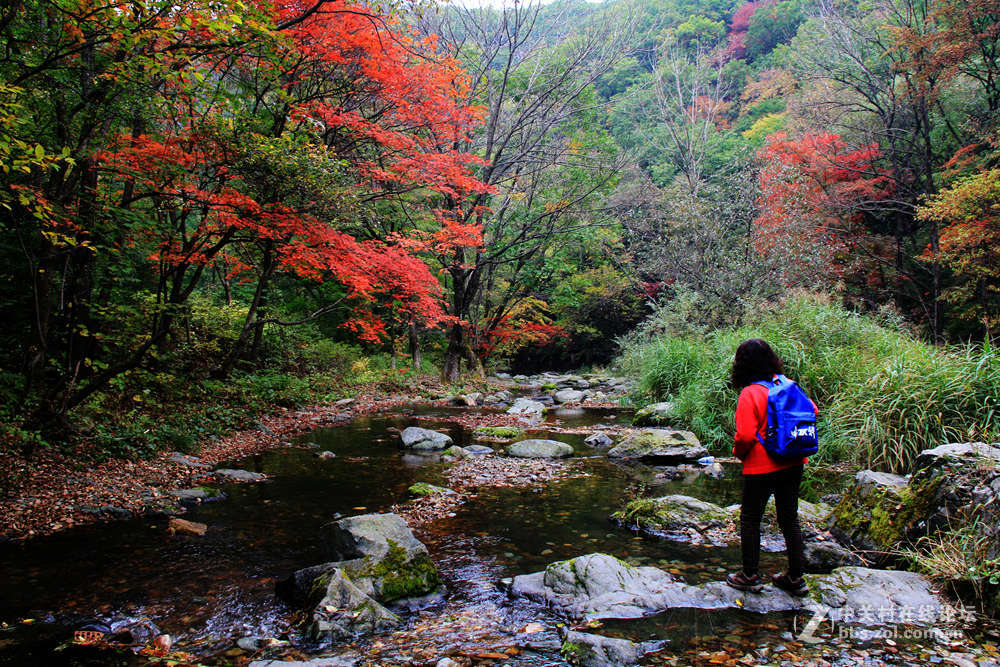 《枫叶初红关门山》