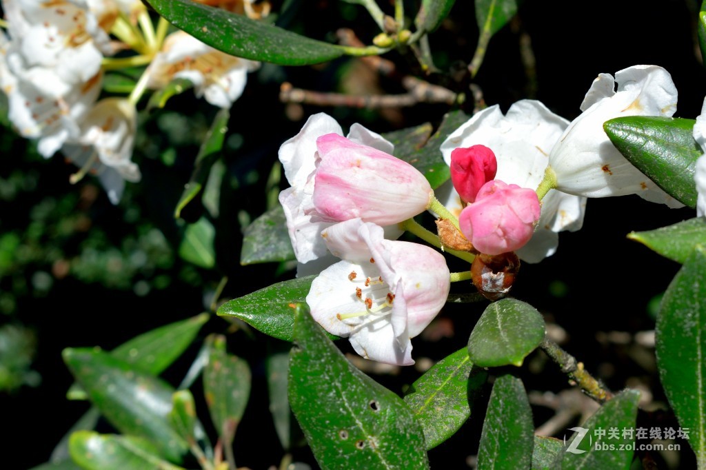 风光旖旎圣堂山