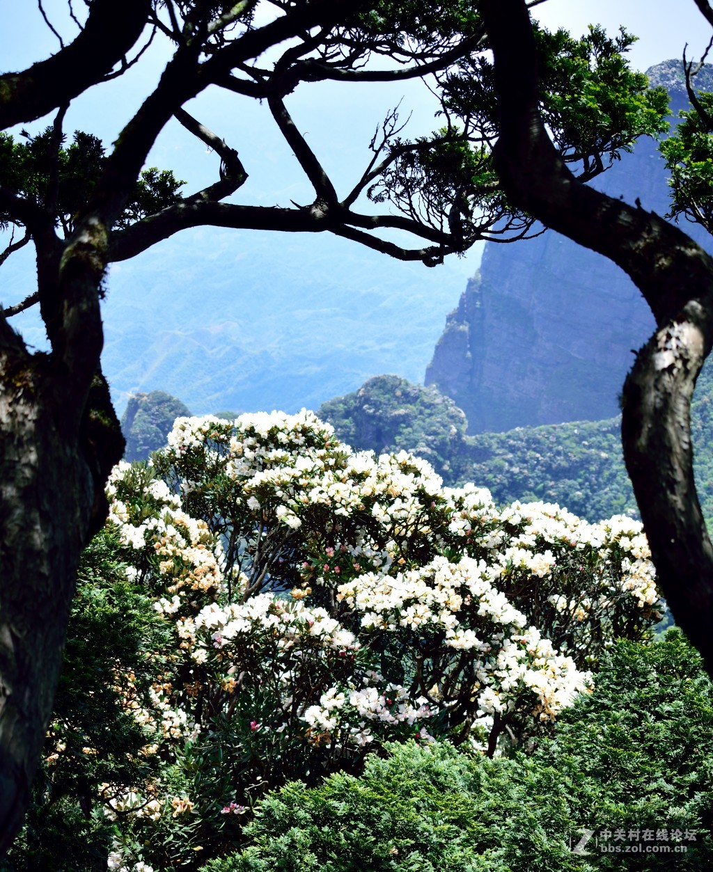 风光旖旎圣堂山