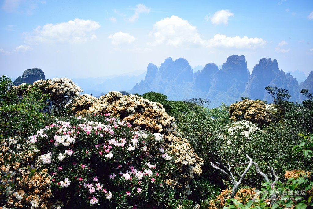 风光旖旎圣堂山