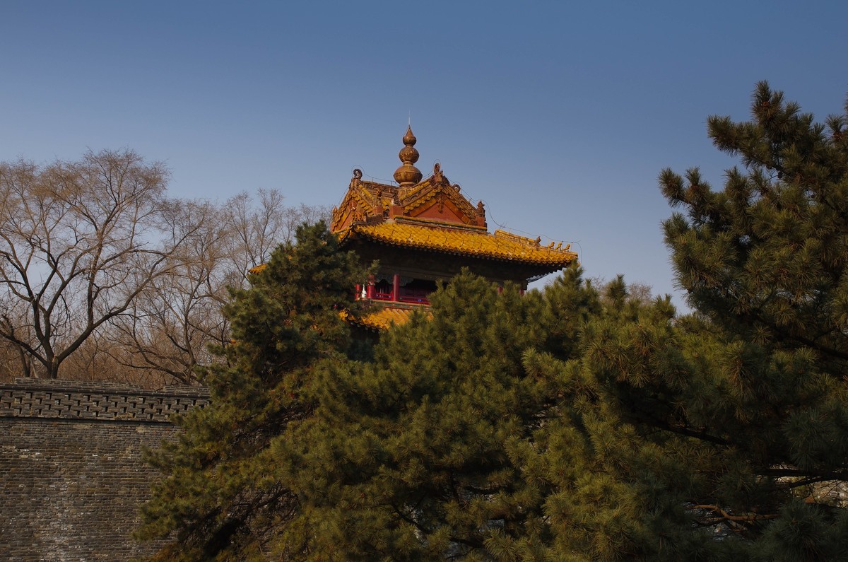 游玩的一组照片，恭贺大家新年好