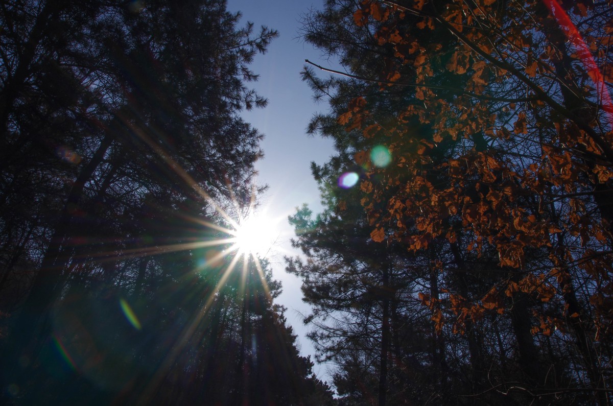 游玩的一组照片，恭贺大家新年好