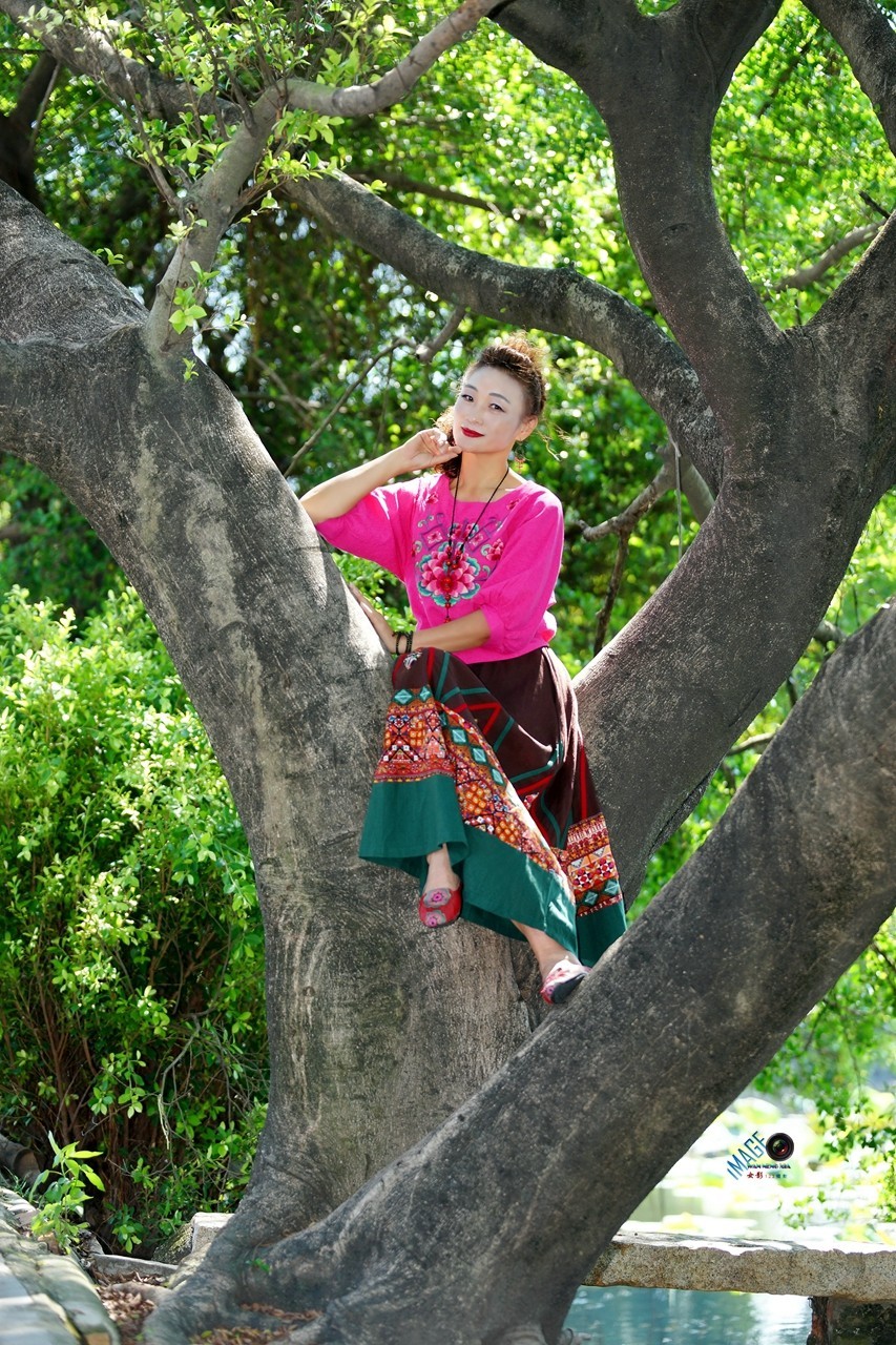 [ 爬树 一 回到十八 ]------蝴蝶