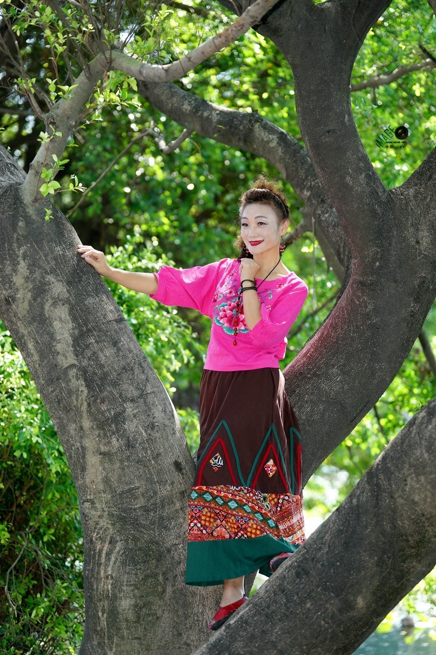 [ 爬树 一 回到十八 ]------蝴蝶