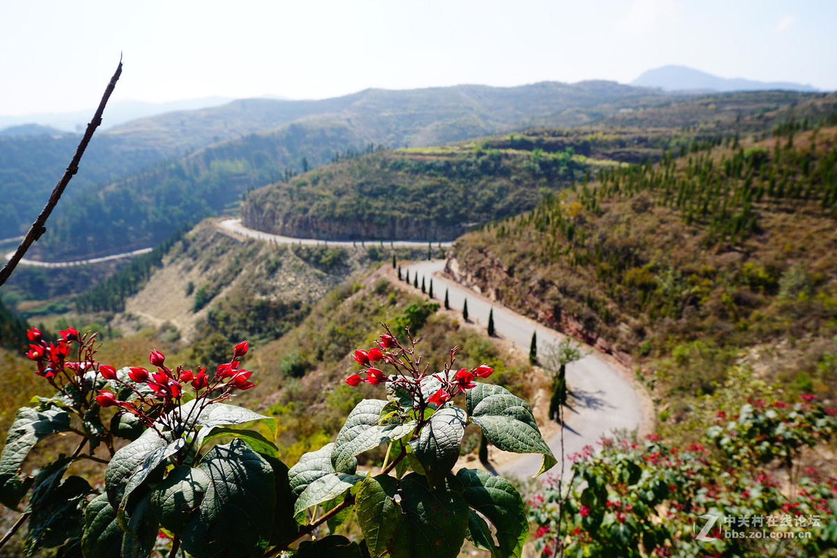 这些是索尼A6000+16-50狗头拍的，为什么我用750，就是排除出这样的锐度呢