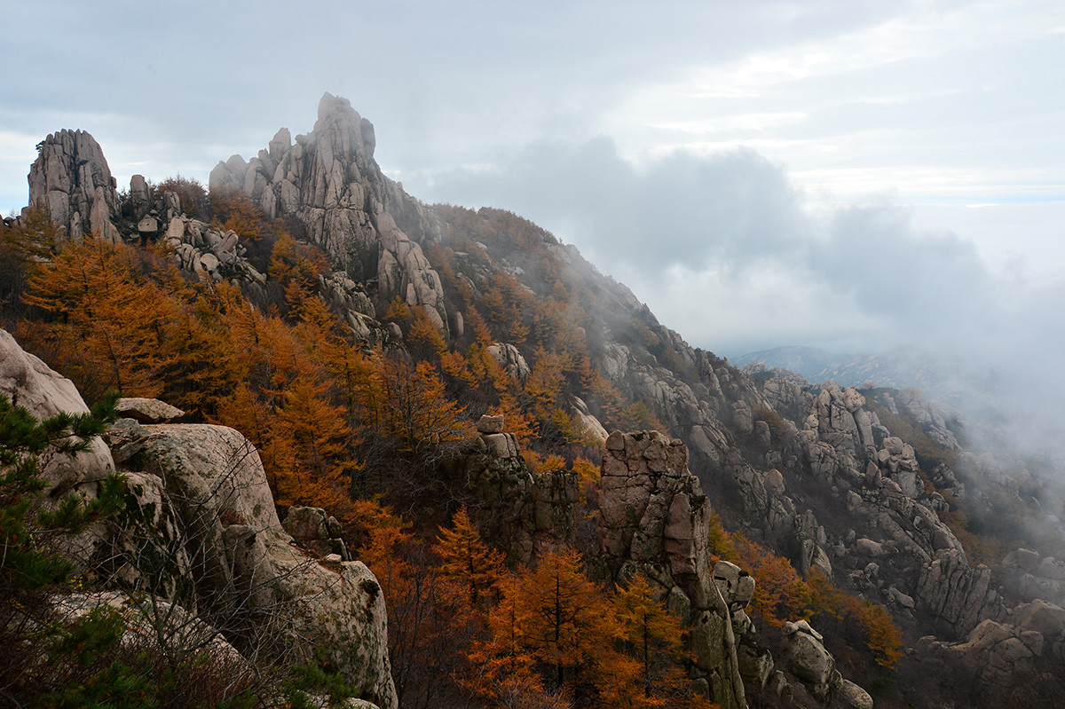 【 · 巨峰云海 · 】