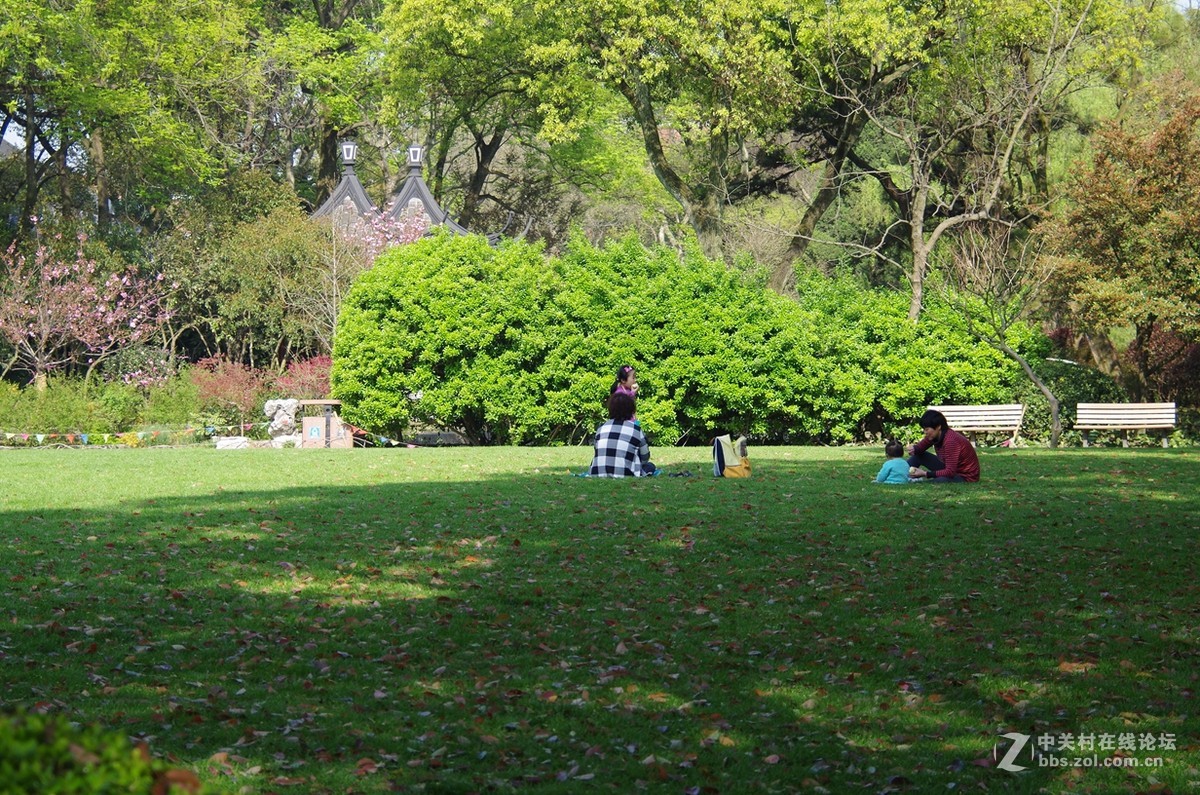 带着FA35-80逛公园随拍