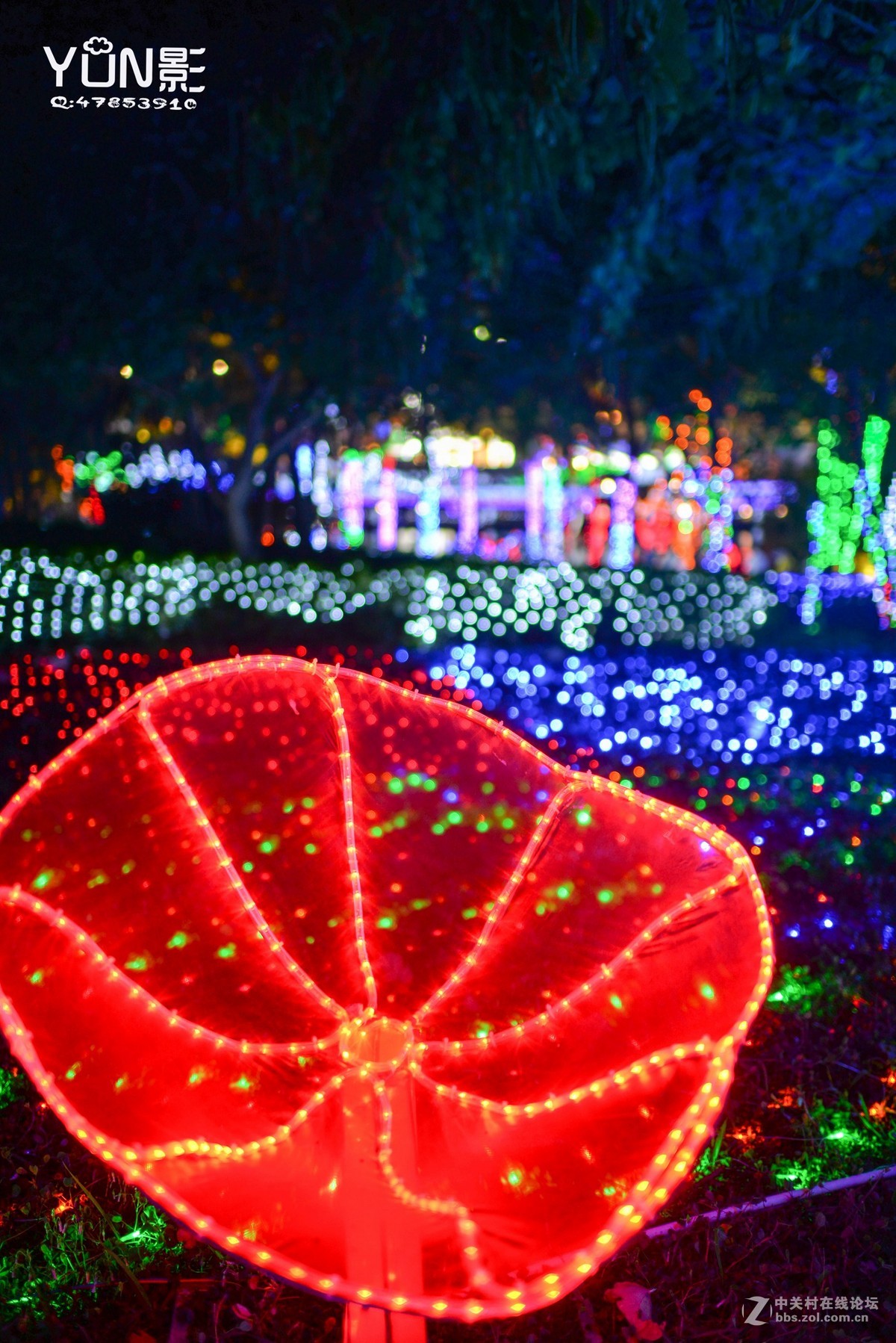 嘉和城花灯展          【YUN影作品】