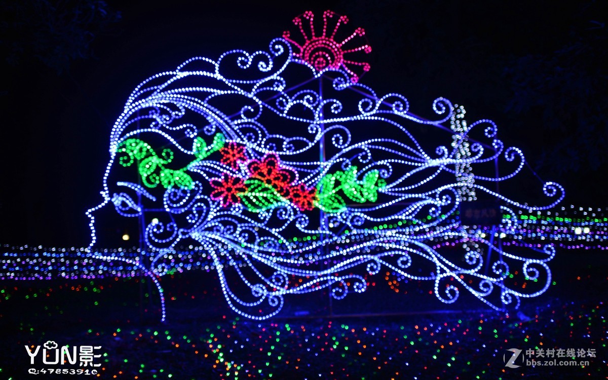 嘉和城花灯展          【YUN影作品】