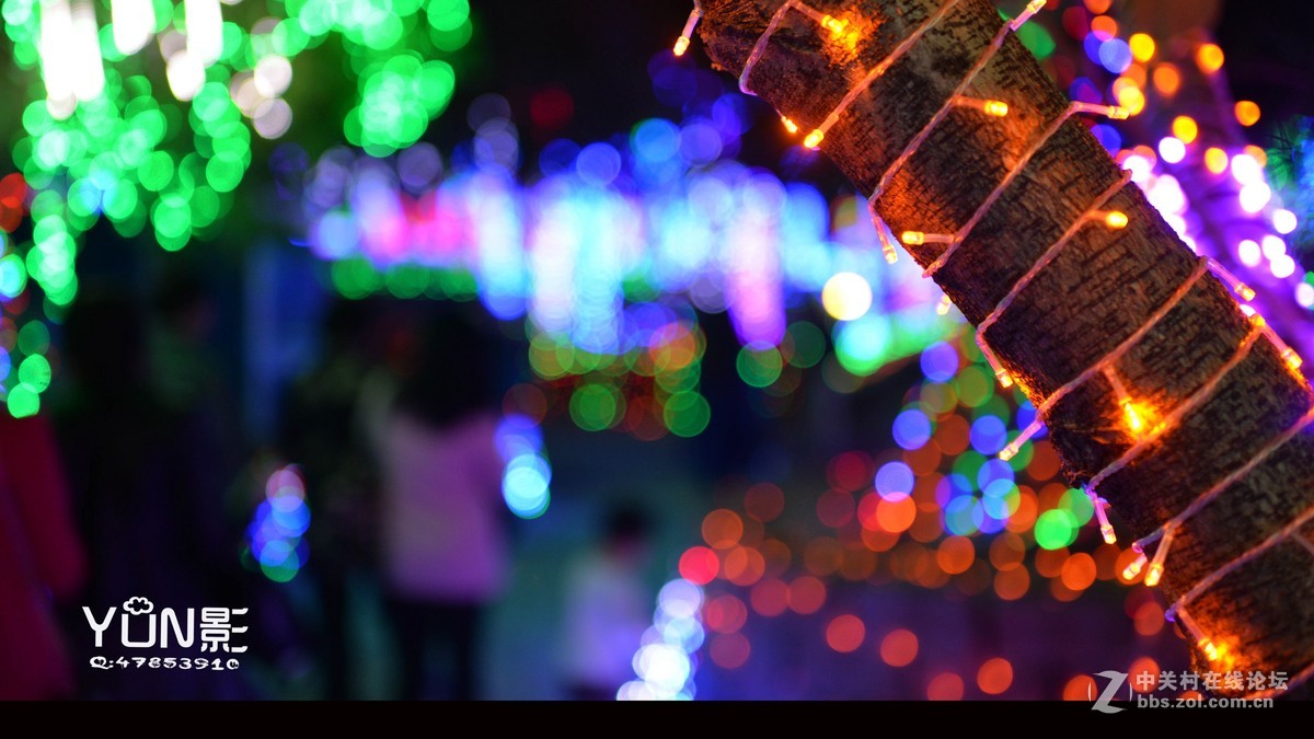 嘉和城花灯展          【YUN影作品】