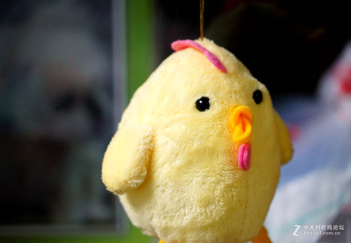 昨天刚进的索尼24--240上两张小片.大家看一看这镜头如何.