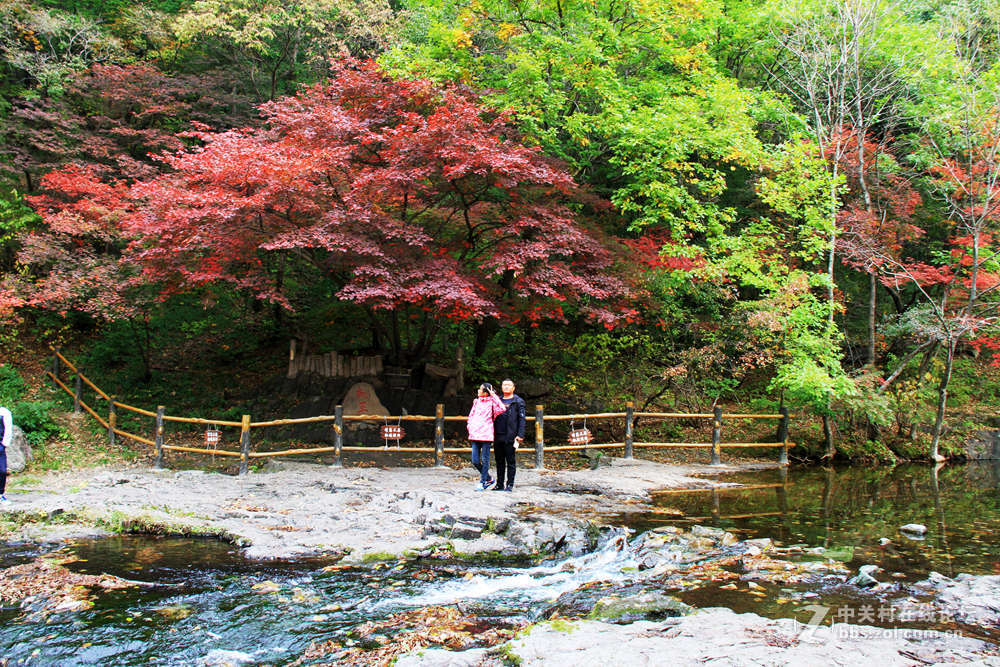 《枫叶初红关门山》