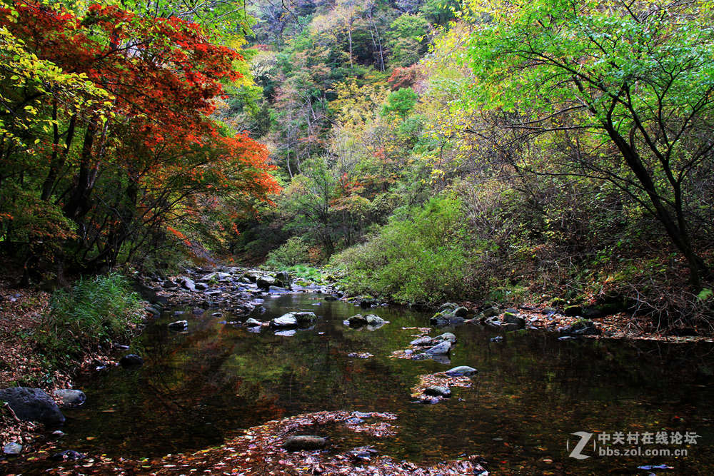 《枫叶初红关门山》