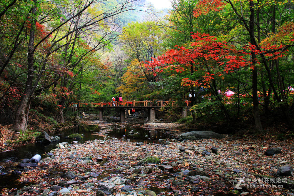 《枫叶初红关门山》
