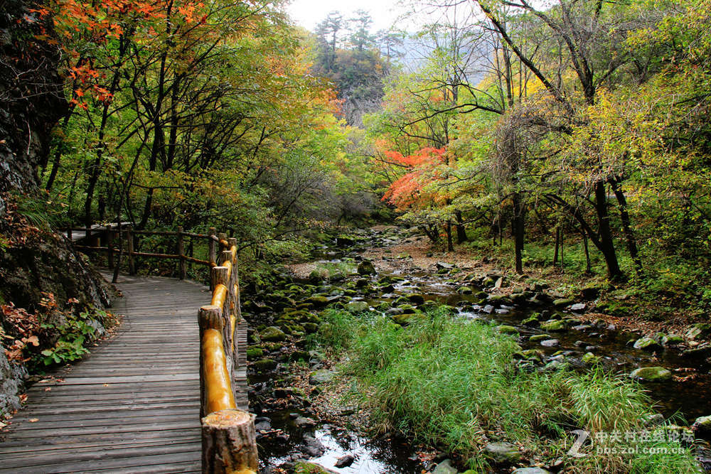 《枫叶初红关门山》
